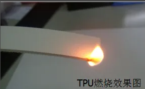 burn TPU coated webbing